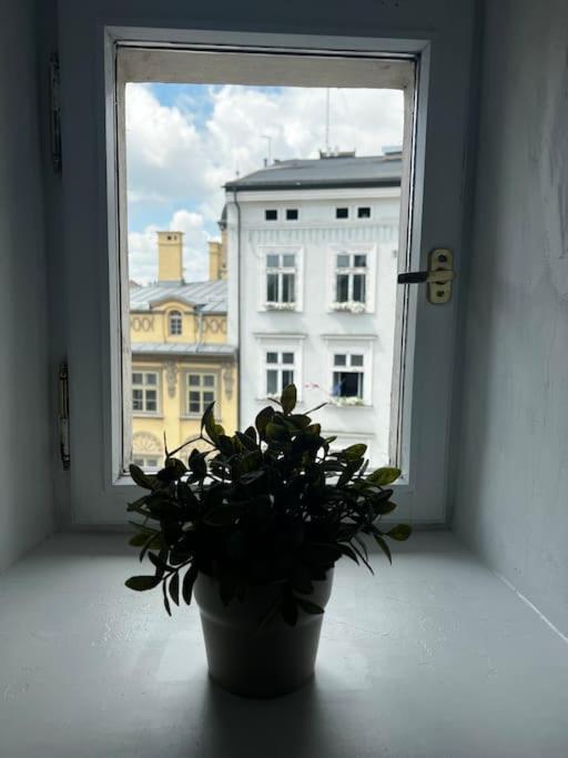 Apartament - Old Town 크라쿠프 외부 사진